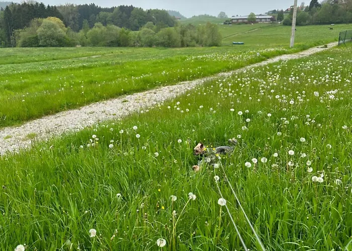 Am Jacobsweg * Hohenpeissenberg